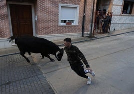 Un momento del encierro de Castronuño.