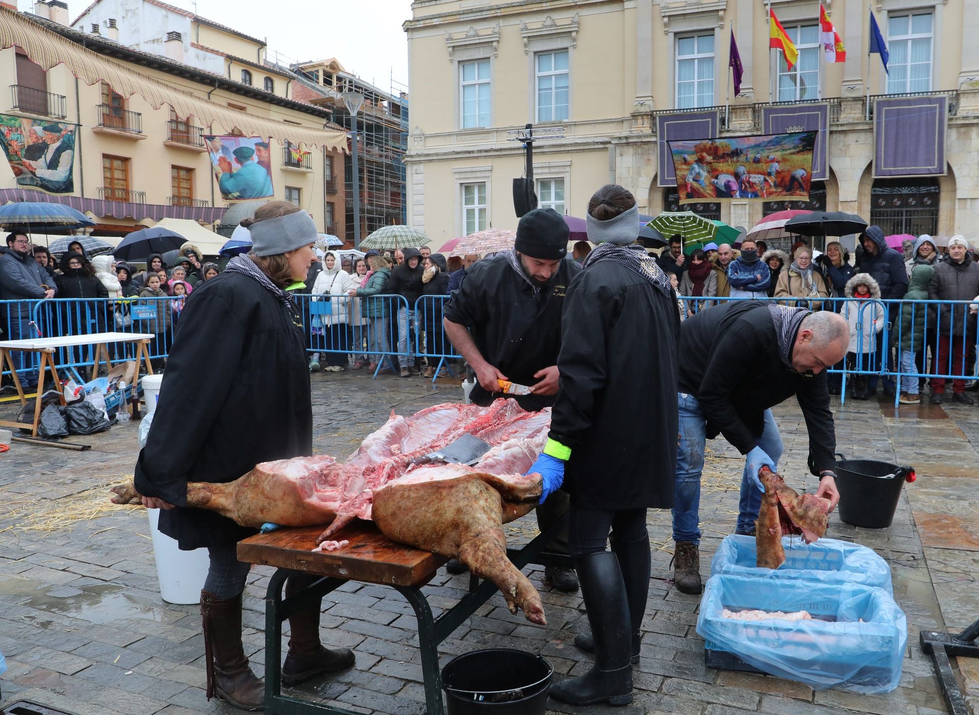 Una clase de labores del despiece del cerdo en la Plaza Mayor