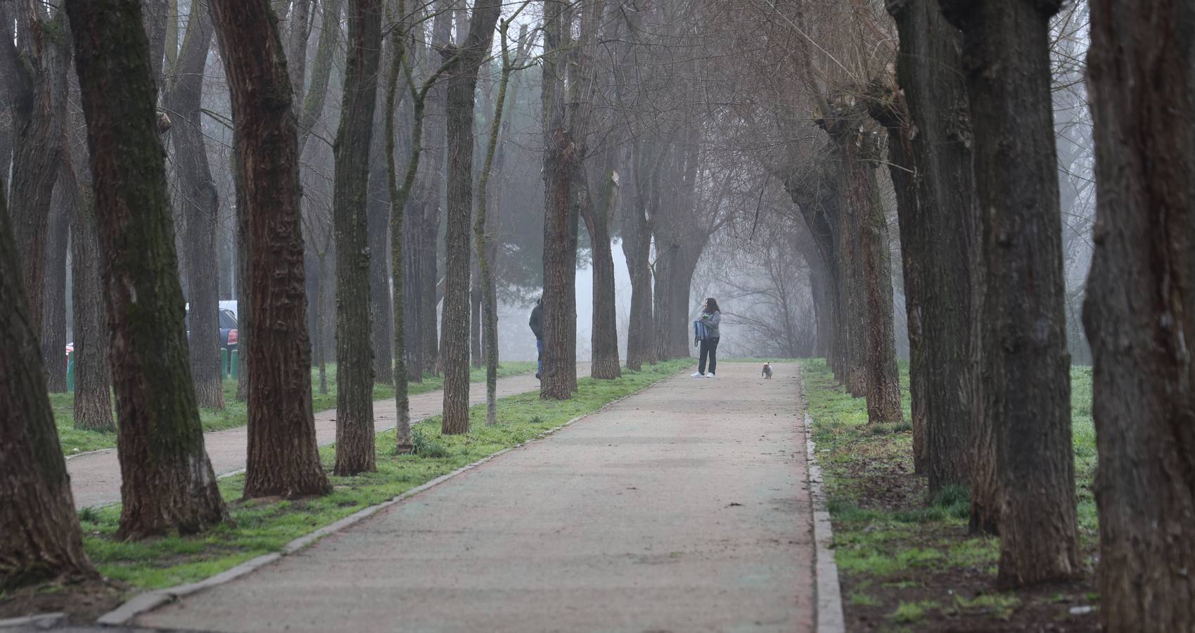 Nieblas persistentes y engelantes en Palencia