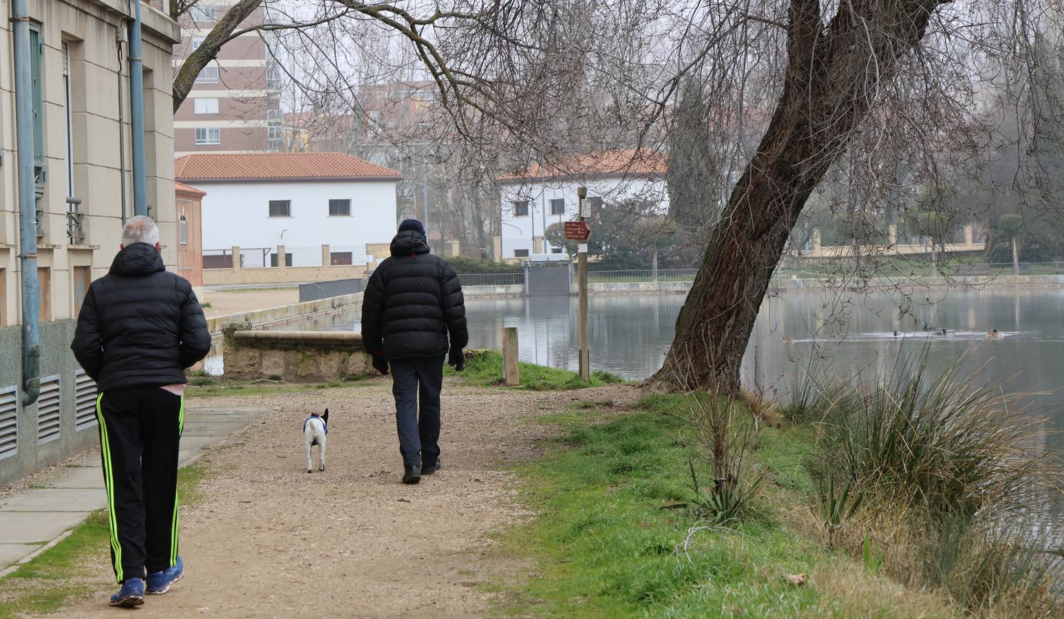 Nieblas persistentes y engelantes en Palencia