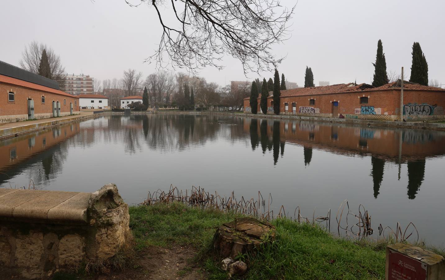 Nieblas persistentes y engelantes en Palencia