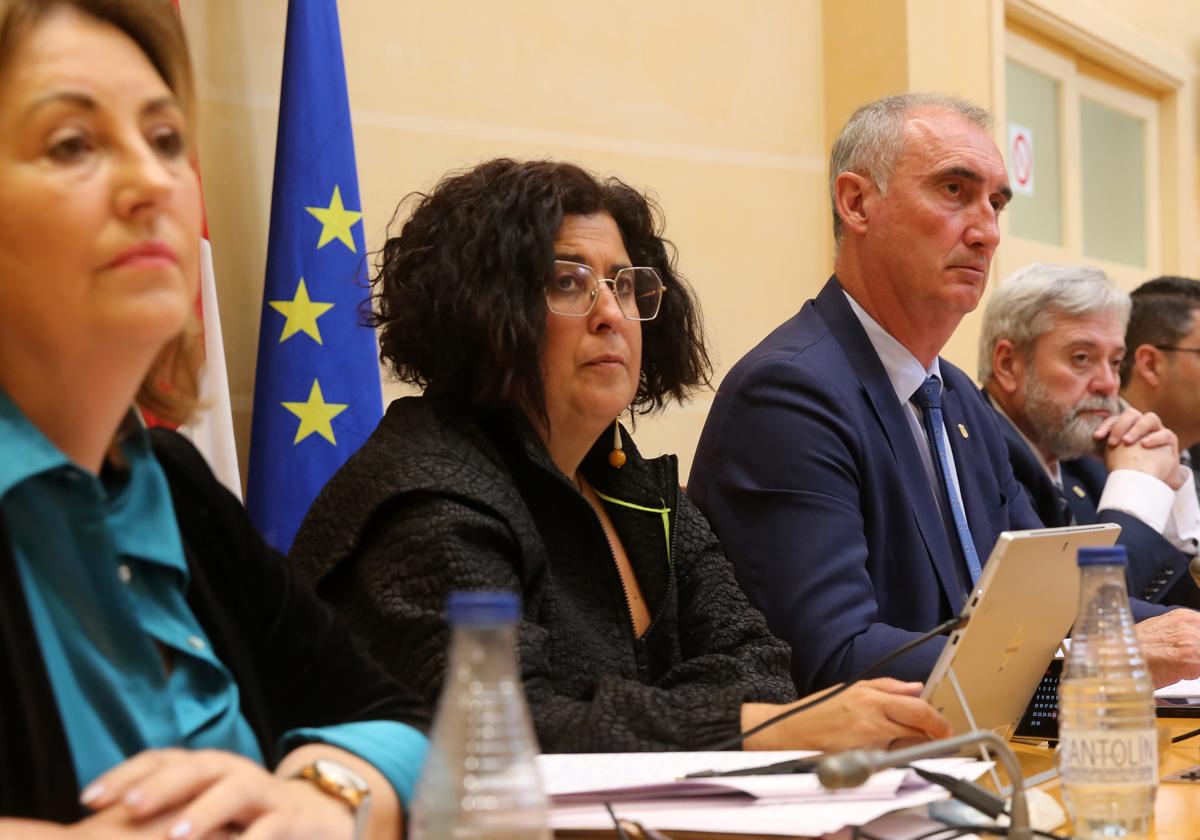 Rosalía Serrano, durante un pleno del Ayuntamiento de Segovia.