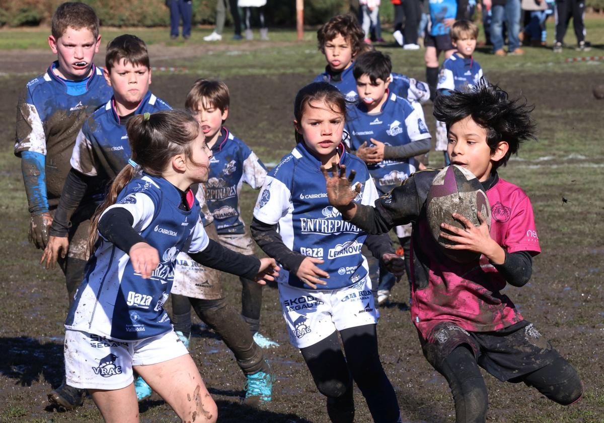 Palencia, cantera del rugby regional