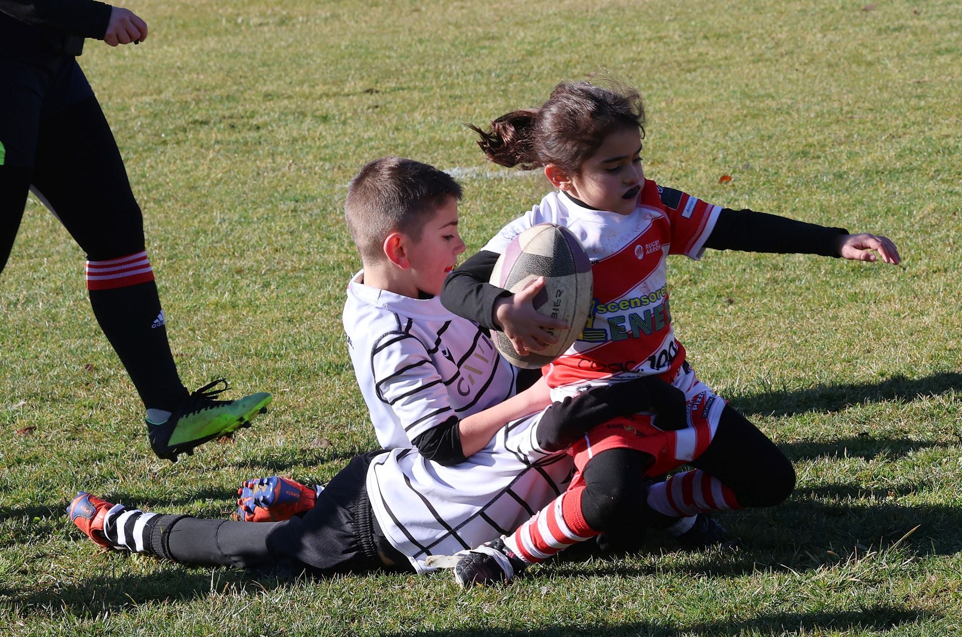 Palencia, cantera del rugby regional