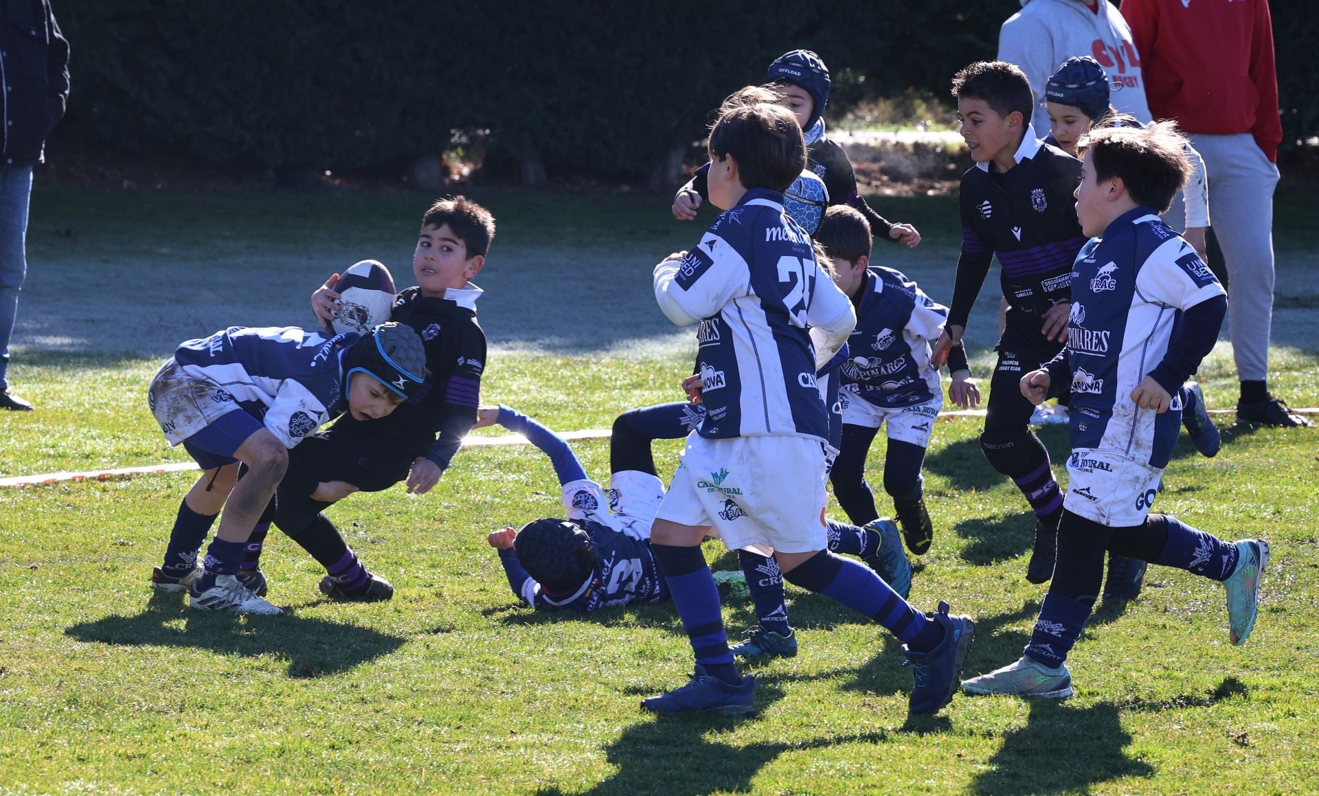 Palencia, cantera del rugby regional