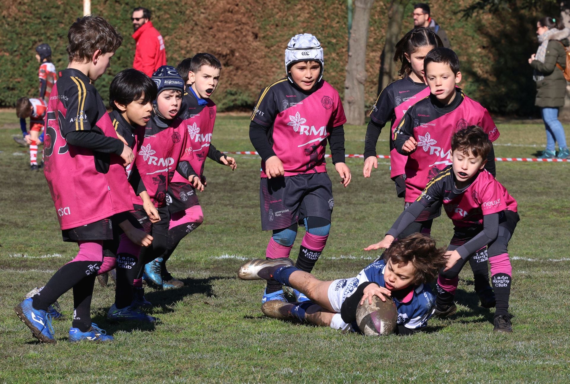 Palencia, cantera del rugby regional