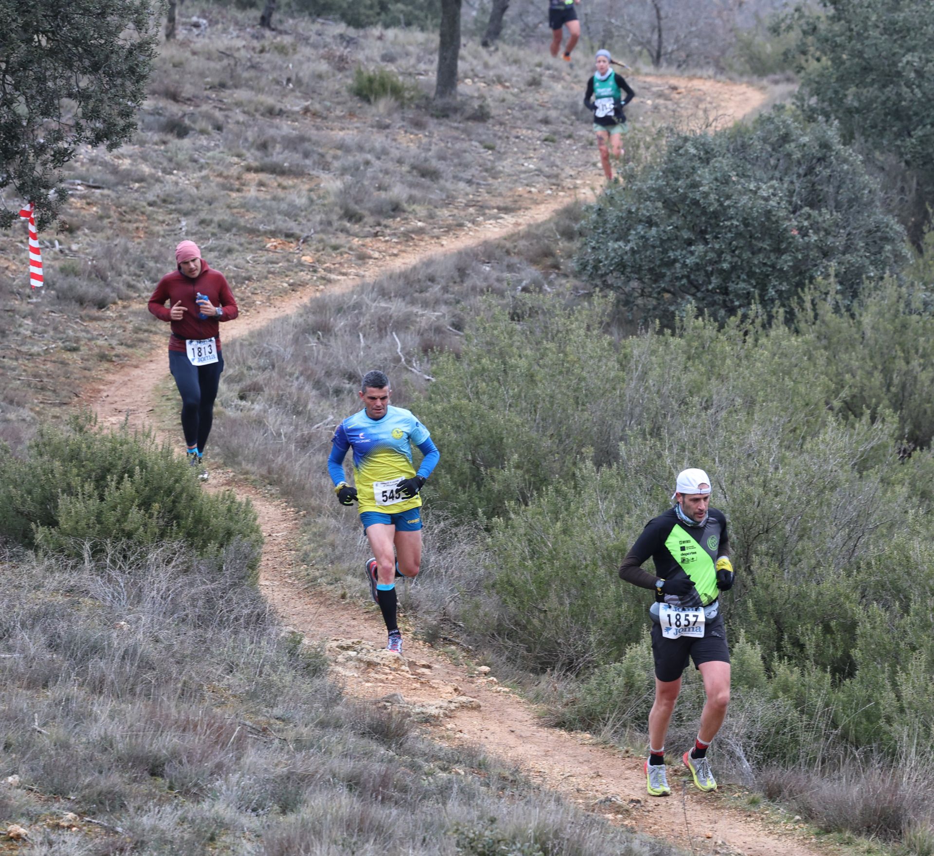 Así ha sido el Trail Monte el Viejo