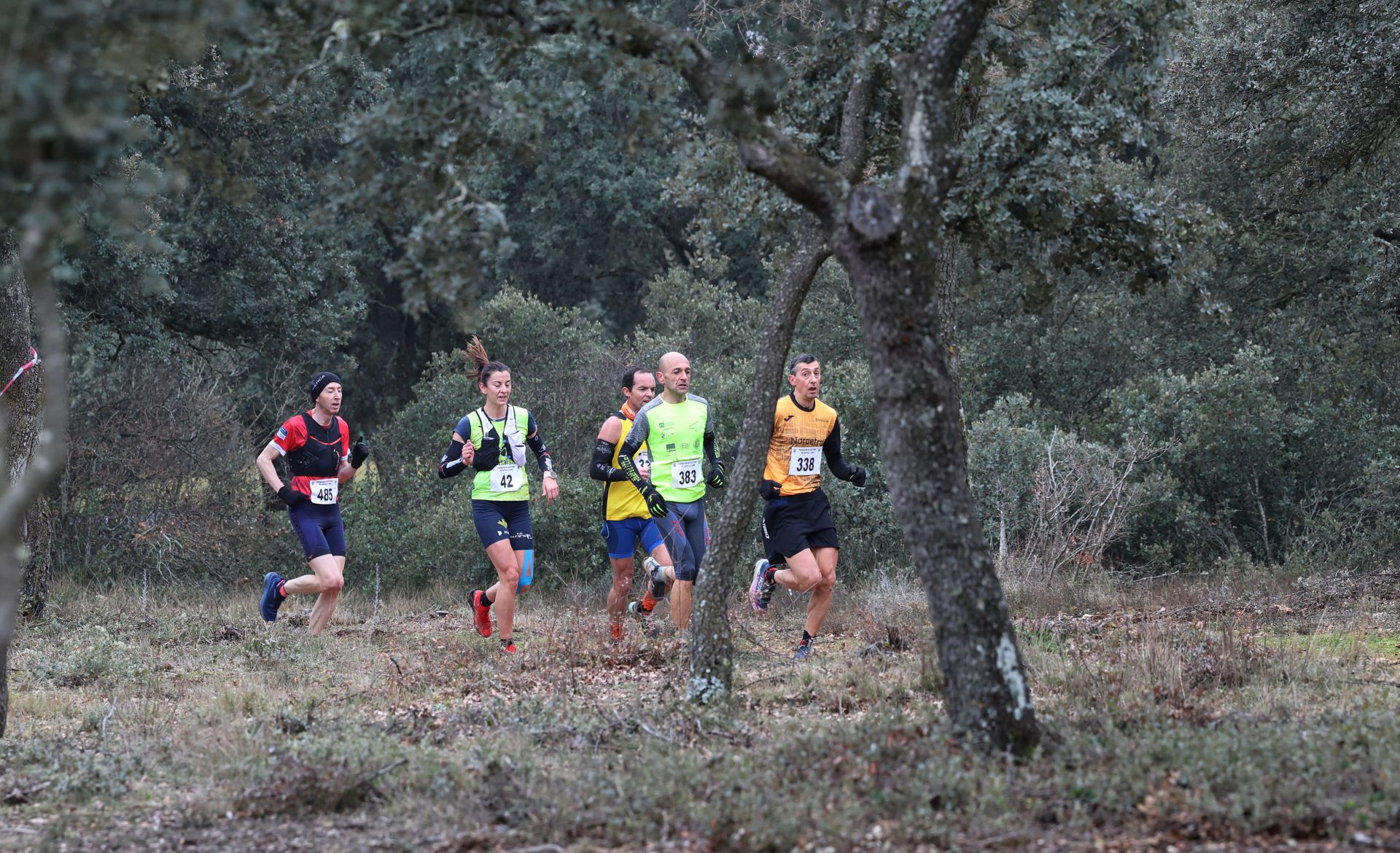 Así ha sido el Trail Monte el Viejo