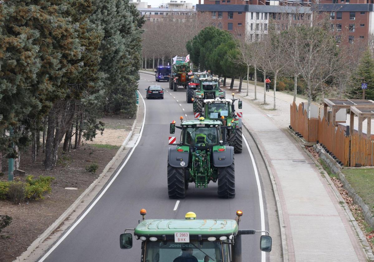 Los tractores bajan la calle José Acosta de Valladolid.