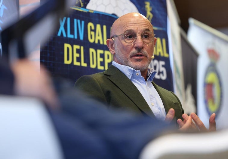 Luis de la Fuente, durante su participación en los Desayunos de la APDV.