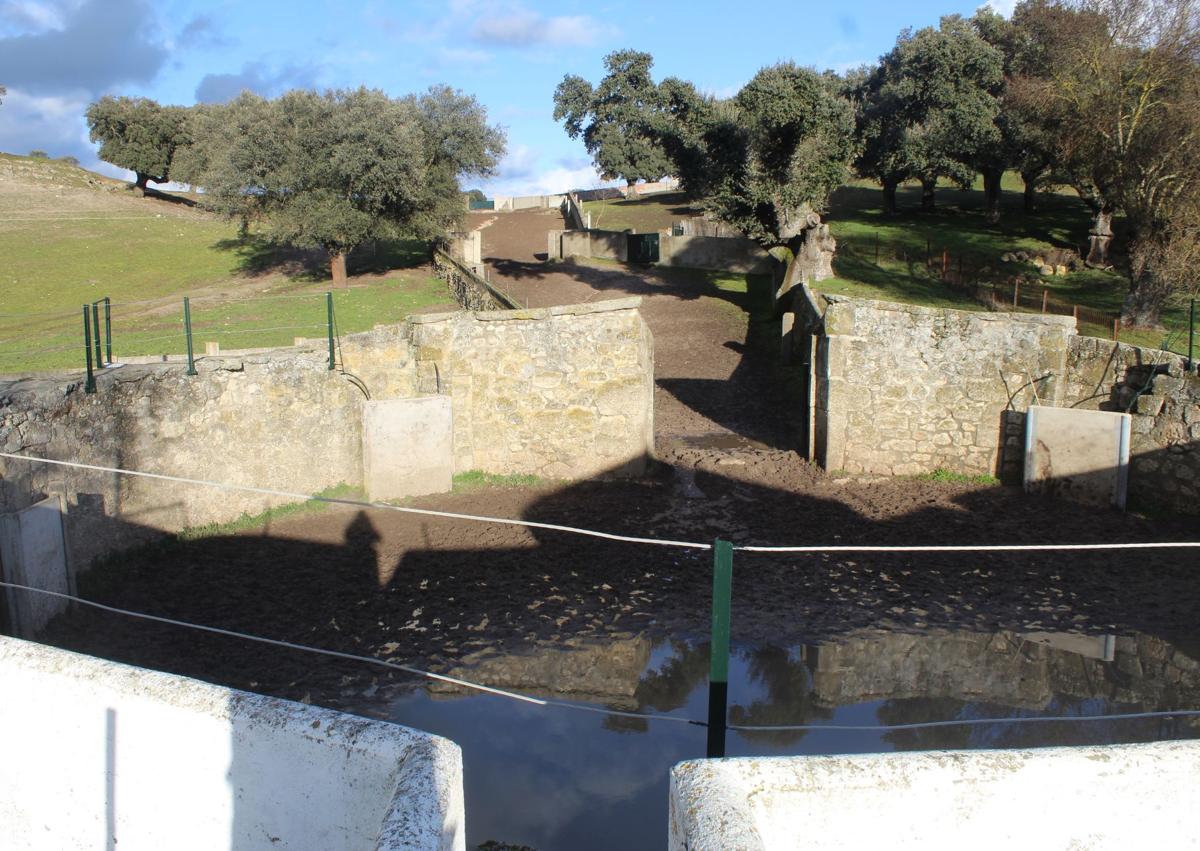 Imagen secundaria 1 - Finca de Castillejo de Huebra, en la provincia de Salamanca.