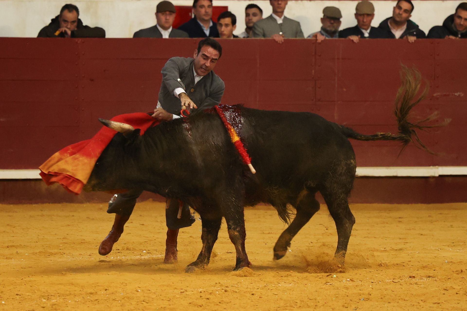 El IX Festival Taurino de La Flecha, en imágenes