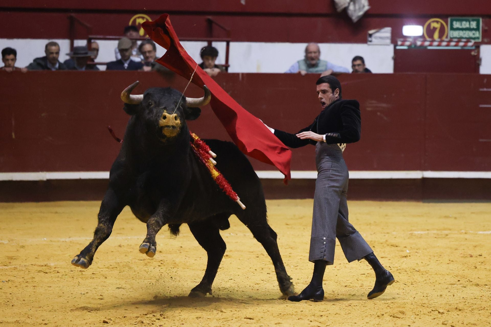 El IX Festival Taurino de La Flecha, en imágenes