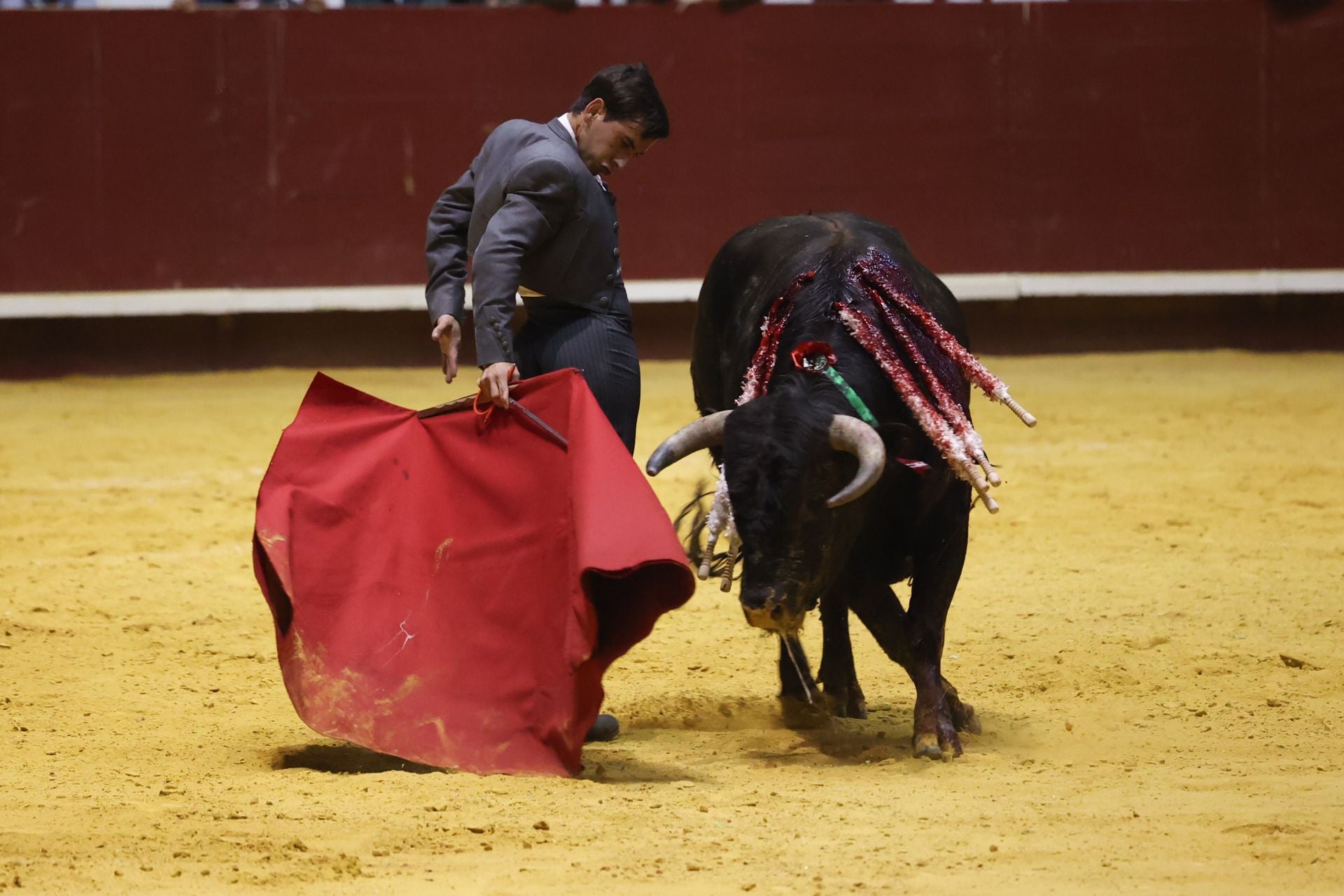 El IX Festival Taurino de La Flecha, en imágenes