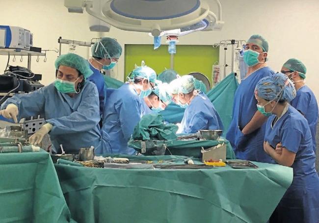 Intervención en un trasplante de hígado en el Hospital Río Hortega.