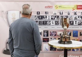 Un hombre observa las fotografías del certamen.