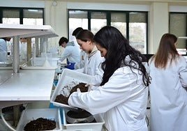 Alumnos de la Escuela de Ingeniería Agrícola y Agroambiental de Valladolid INEA-Universidad Pontificia Comillas.