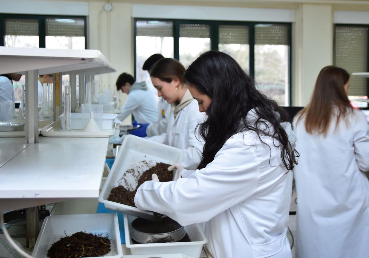 Completan su oferta formativa con el primer máster 'online' en Agricultura Ecológica
