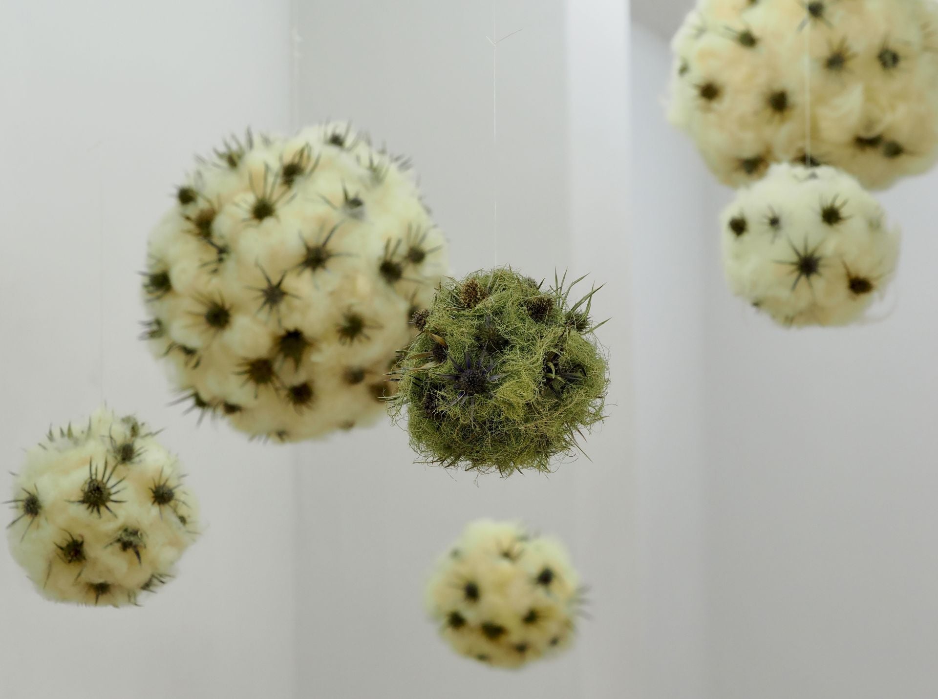 La nueva exposición de arte inspirada en Hadas y Monstruos en imágenes