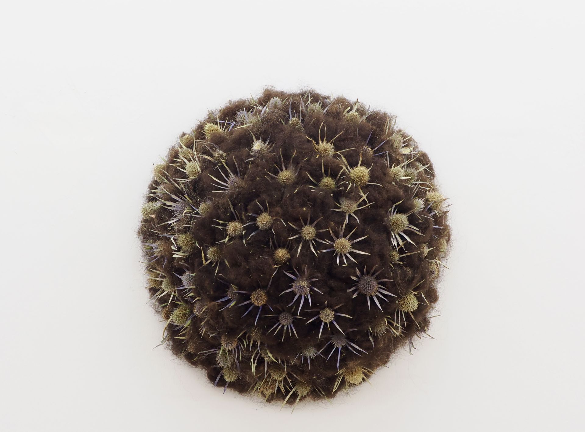 La nueva exposición de arte inspirada en Hadas y Monstruos en imágenes