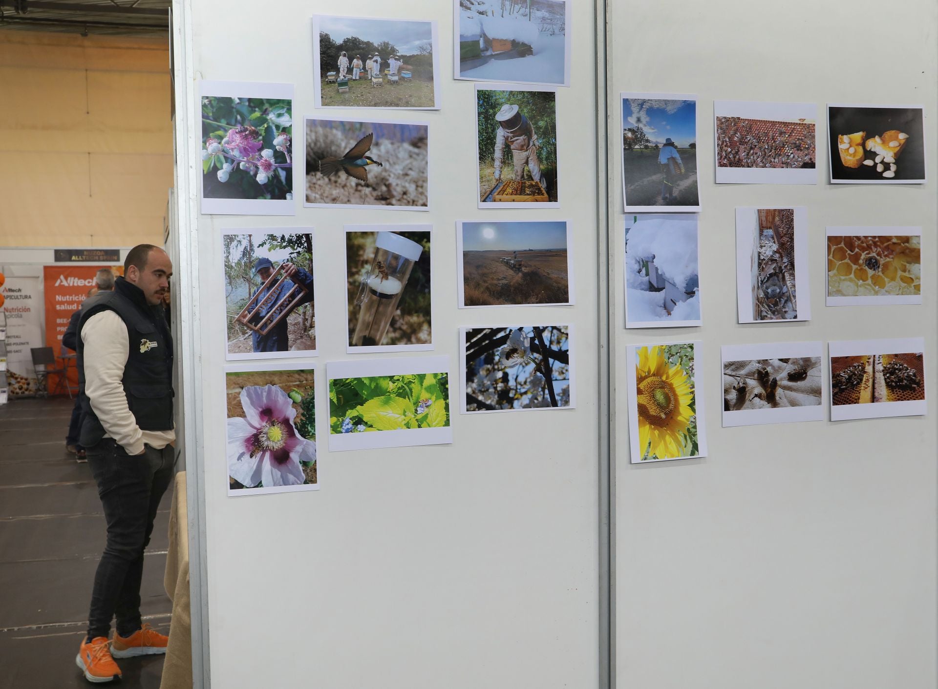 Así es la VI Feria Apícola de Castilla y León en Palencia
