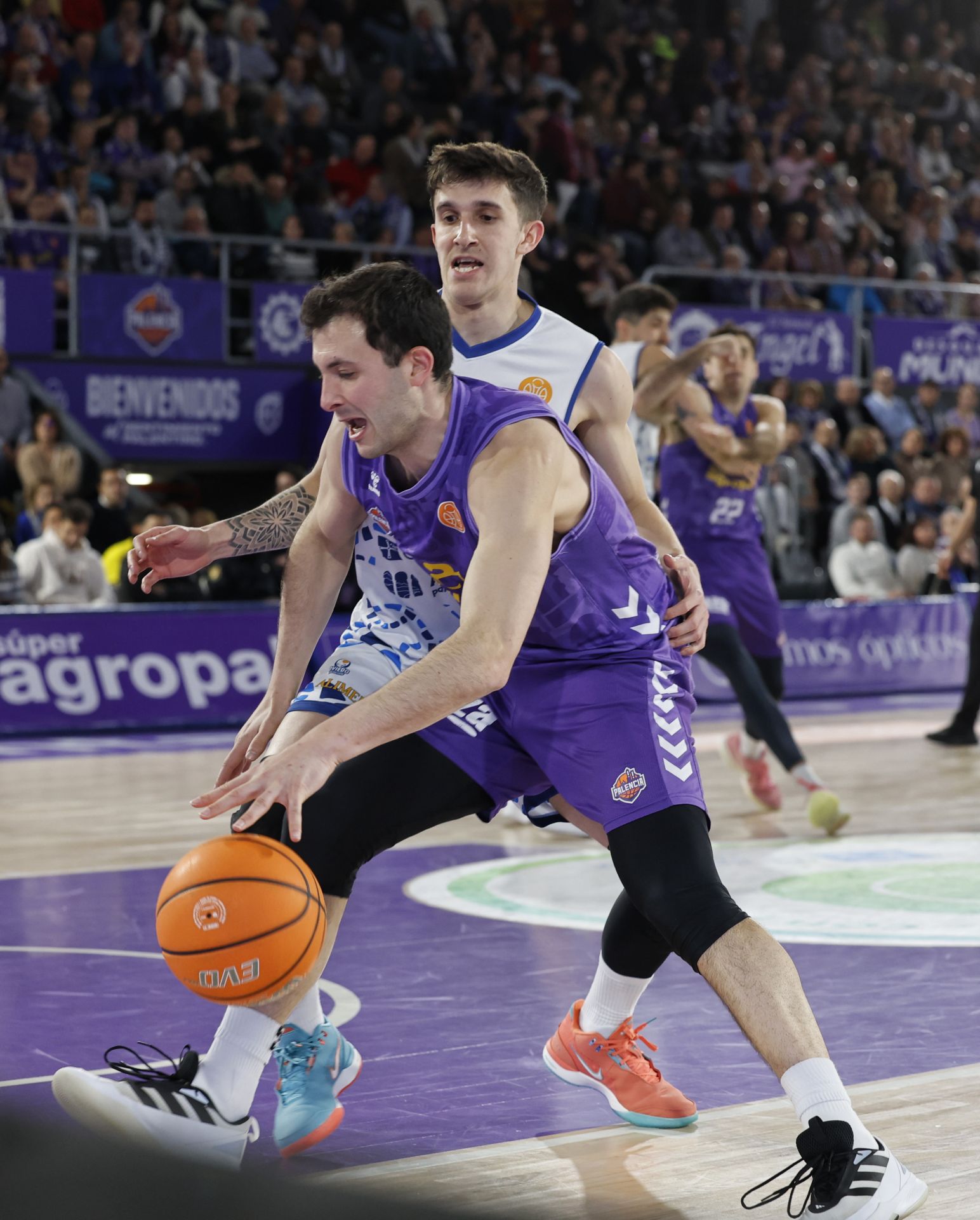 Súper Agropal Palencia 90-78 Alimerka Oviedo