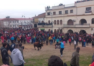 Ciudad Rodrigo empieza su Carnaval del Toro con dos heridos