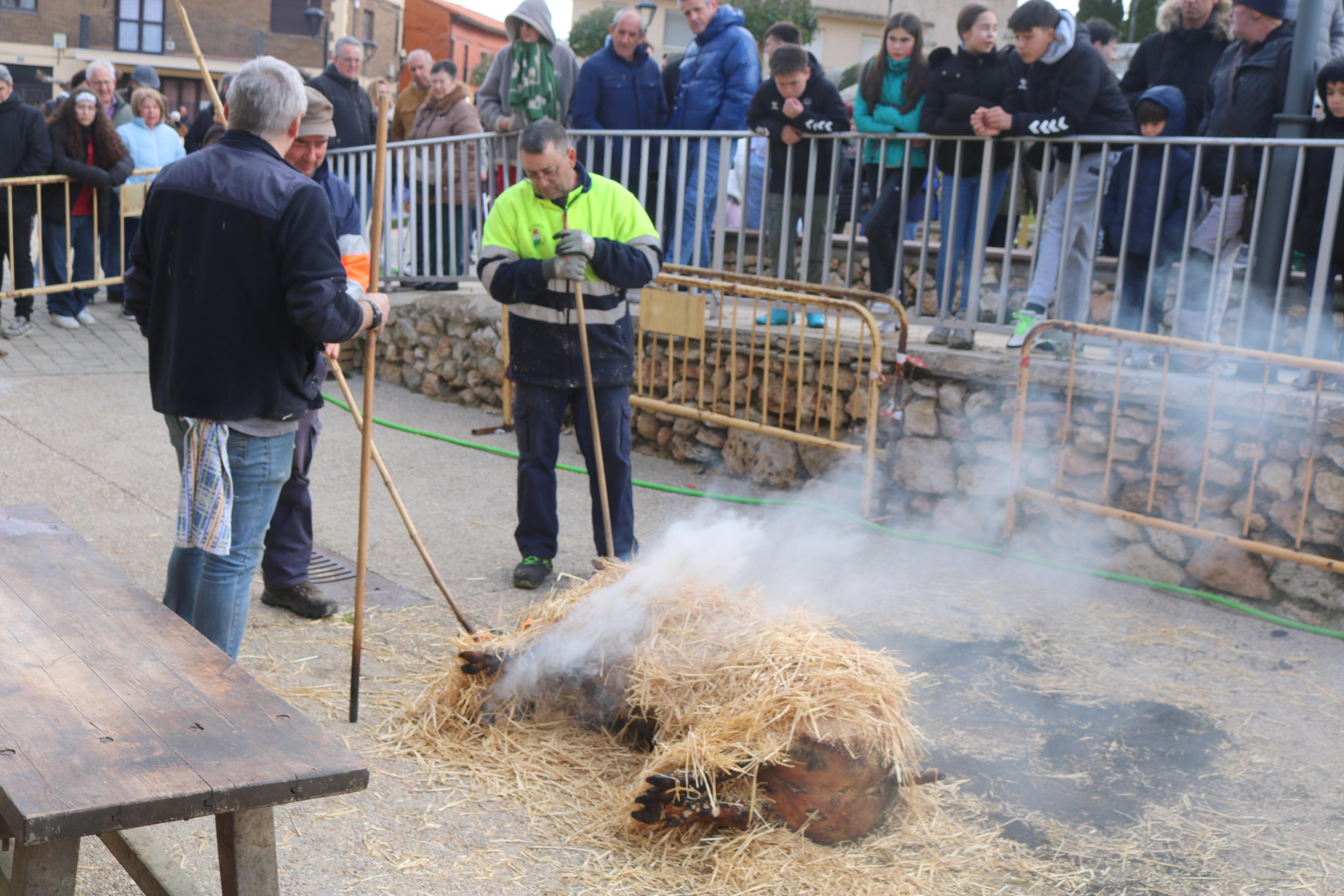 Fiesta de la Matanza en Villamuriel de Cerrato