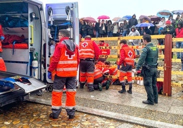 Accidentado encierro en Ciudad Rodrigo: un infarto en el recorrido y dos arrollados por la manada