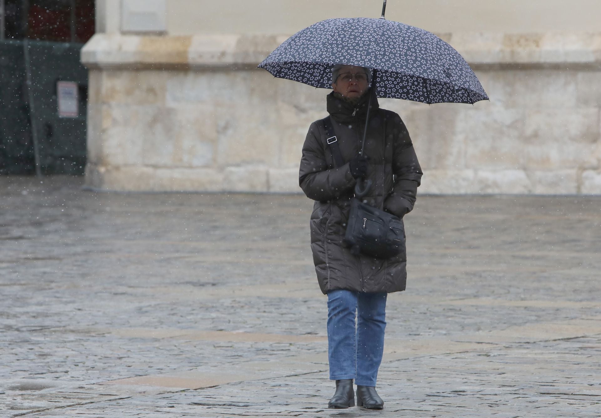 La nieve llega a Palencia