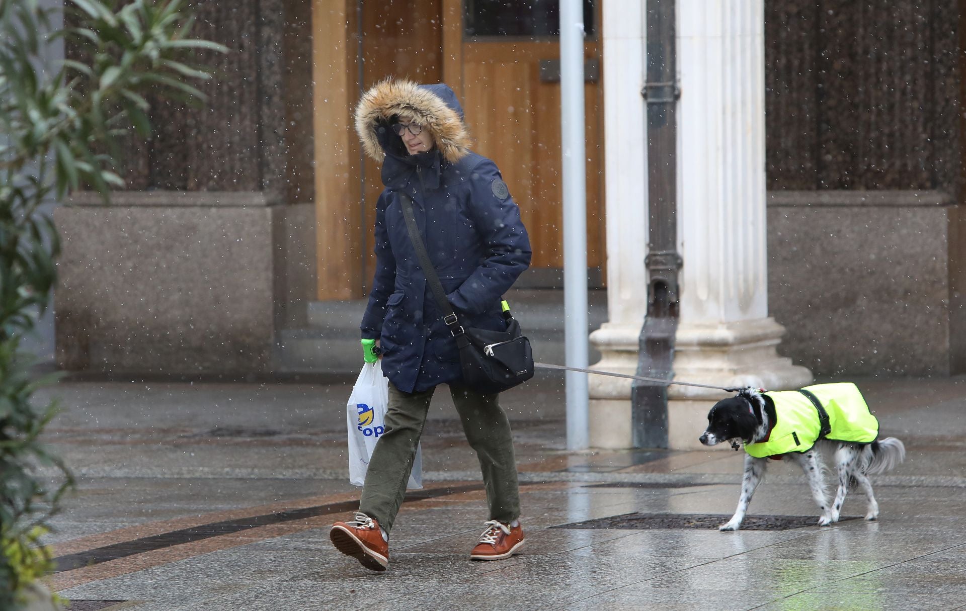 La nieve llega a Palencia