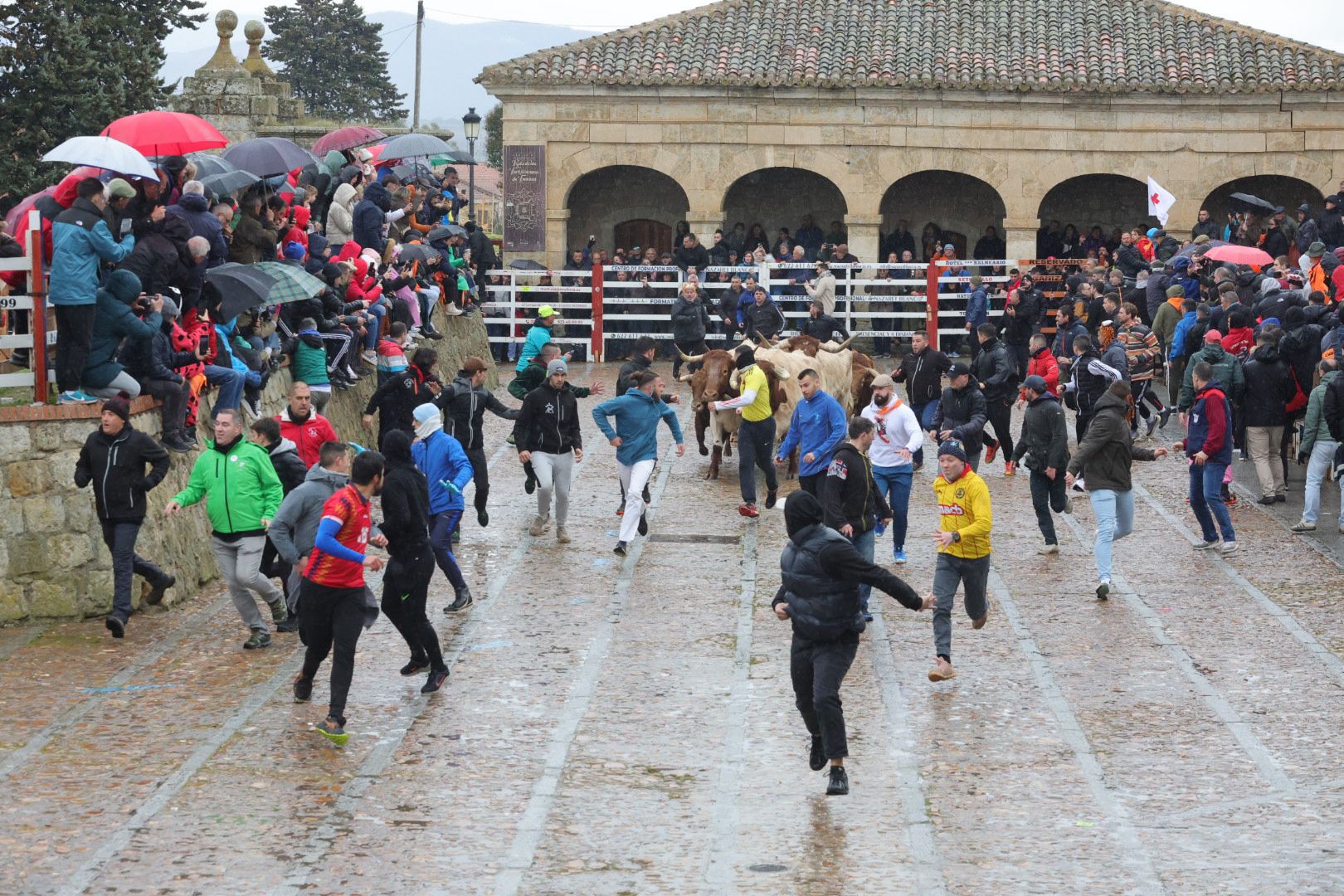 Lunes del Carnaval del Toro en Ciudad Rodrigo