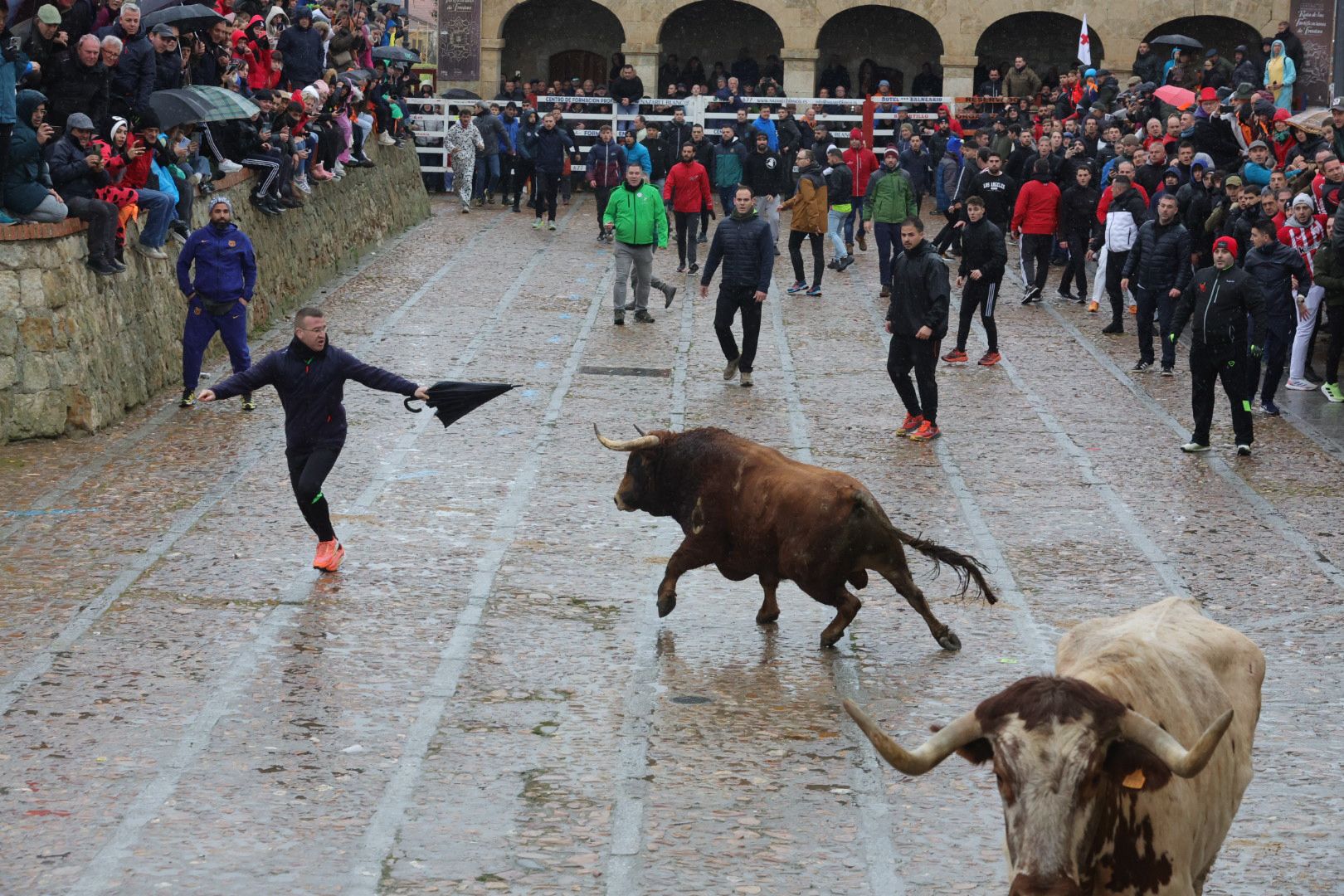 Lunes del Carnaval del Toro en Ciudad Rodrigo