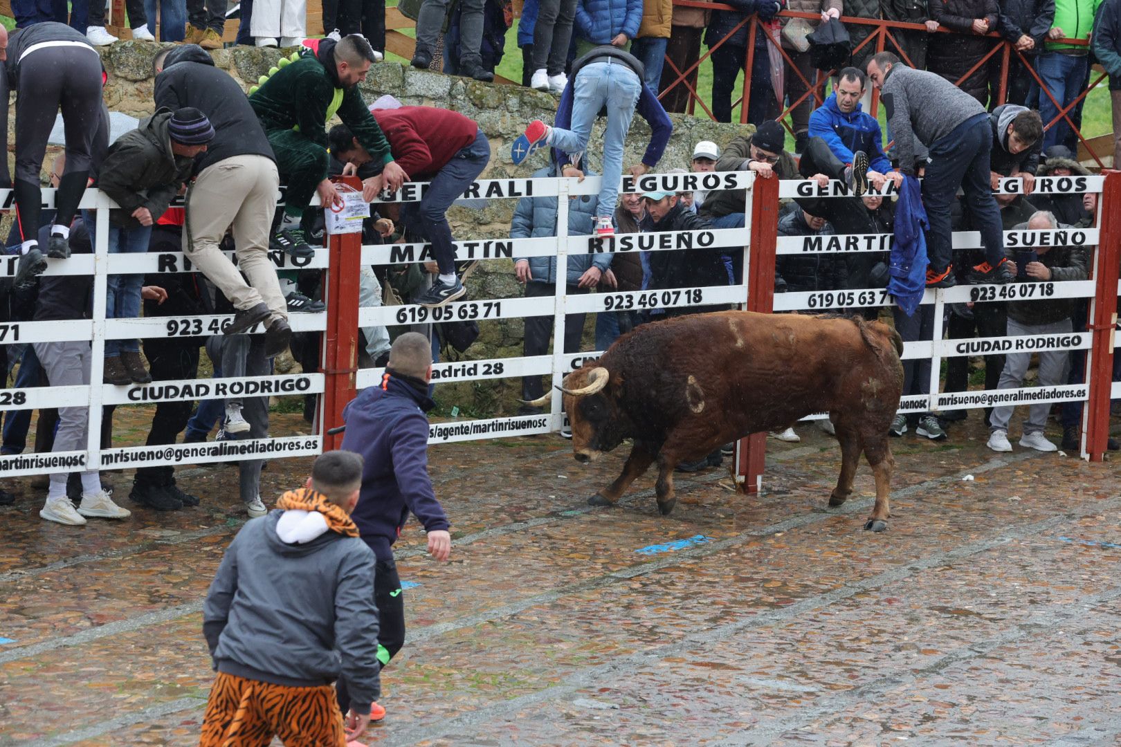 Lunes del Carnaval del Toro en Ciudad Rodrigo