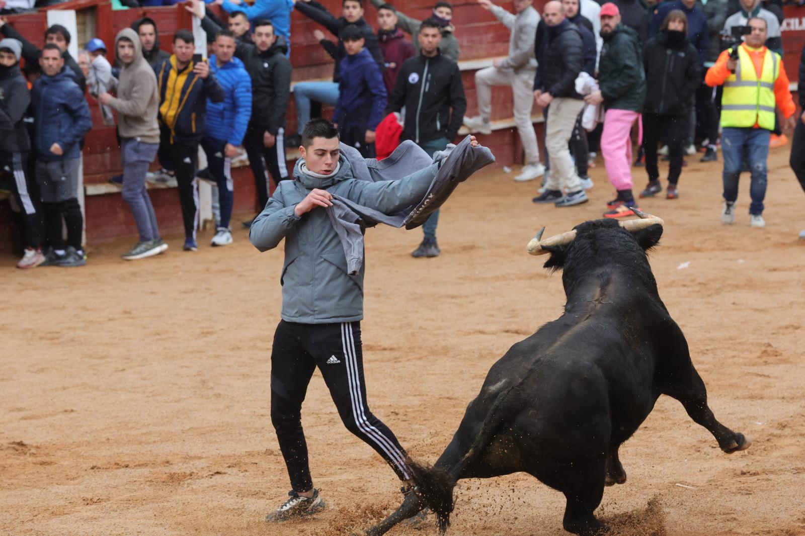 Lunes del Carnaval del Toro en Ciudad Rodrigo