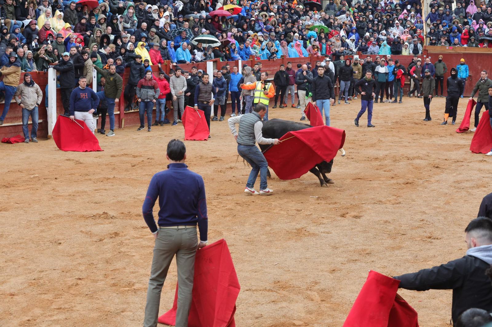 Lunes del Carnaval del Toro en Ciudad Rodrigo