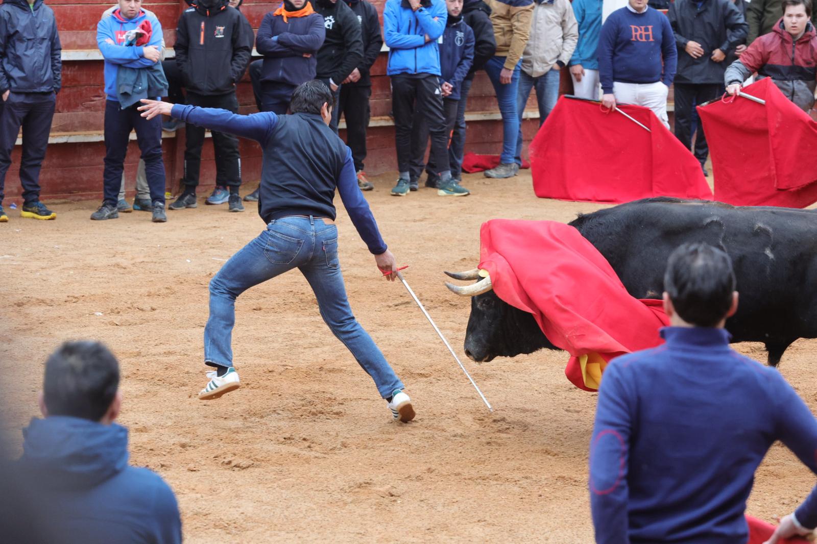 Lunes del Carnaval del Toro en Ciudad Rodrigo