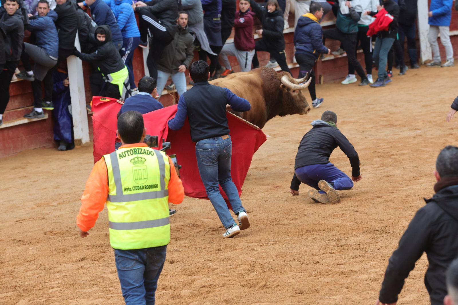 Lunes del Carnaval del Toro en Ciudad Rodrigo