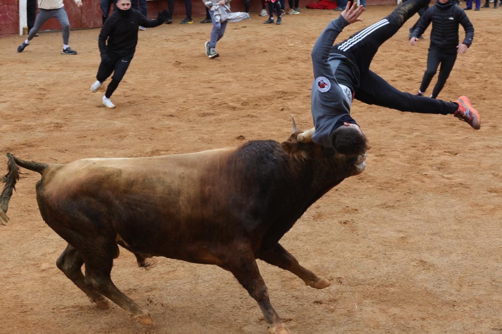 Lunes del Carnaval del Toro en Ciudad Rodrigo