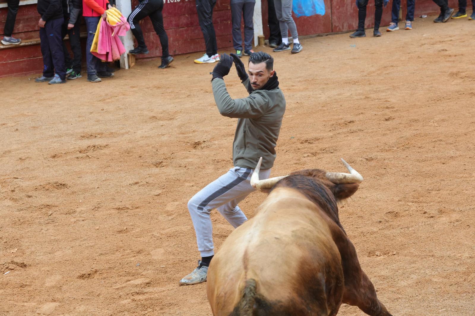 Lunes del Carnaval del Toro en Ciudad Rodrigo