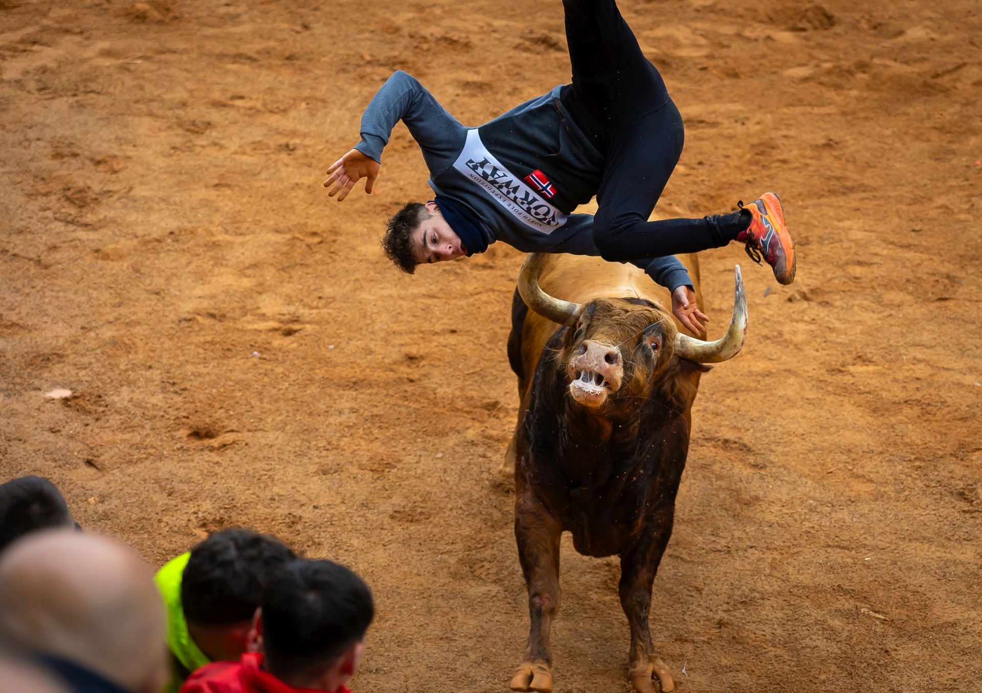 Lunes del Carnaval del Toro en Ciudad Rodrigo