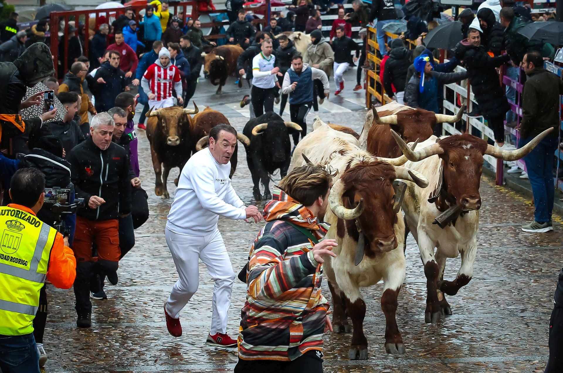 Lunes del Carnaval del Toro en Ciudad Rodrigo