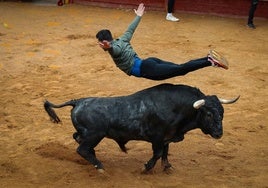 Lunes del Carnaval del Toro en Ciudad Rodrigo
