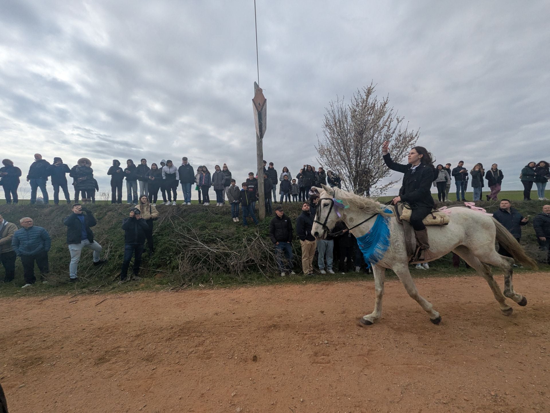 Carrera de cintas a caballo en Torrelobatón