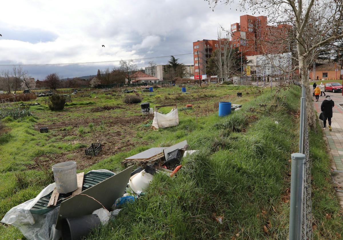 El Ayuntamiento debe devolver el terreno de los huertos urbanos en mayo