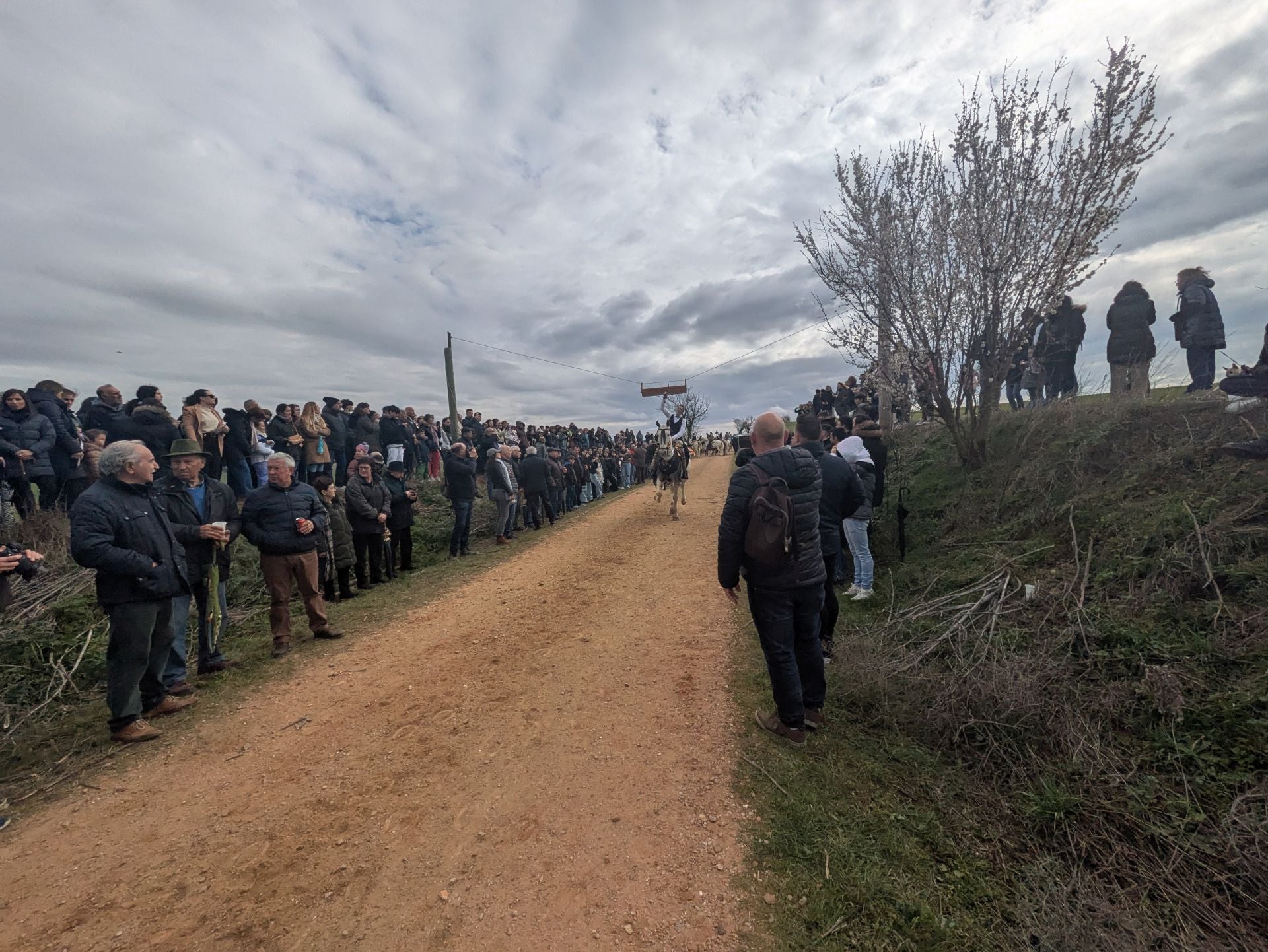 Carrera de cintas a caballo en Torrelobatón