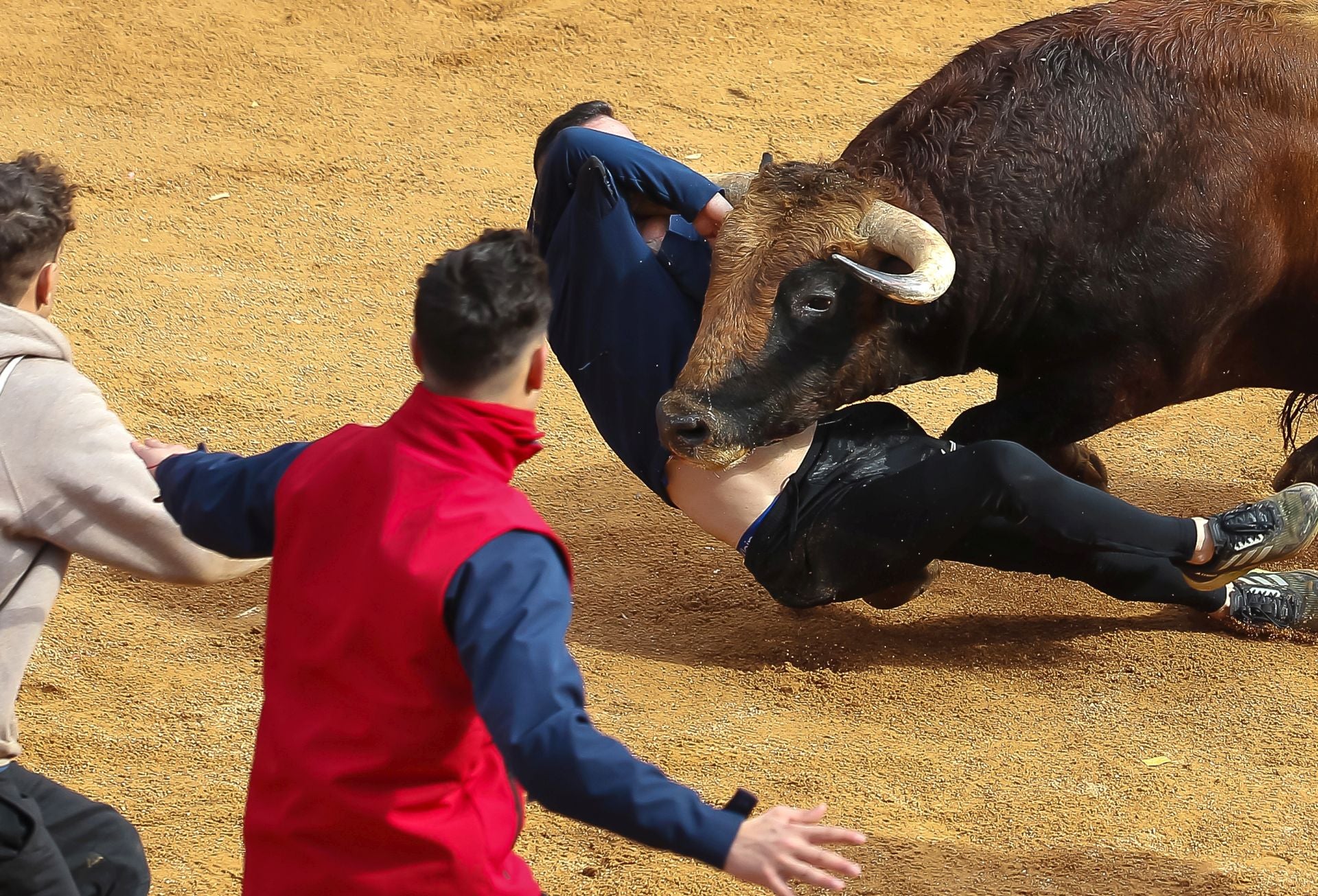 Así han sido las cogidas a los tres corneados en Ciudad Rodrigo