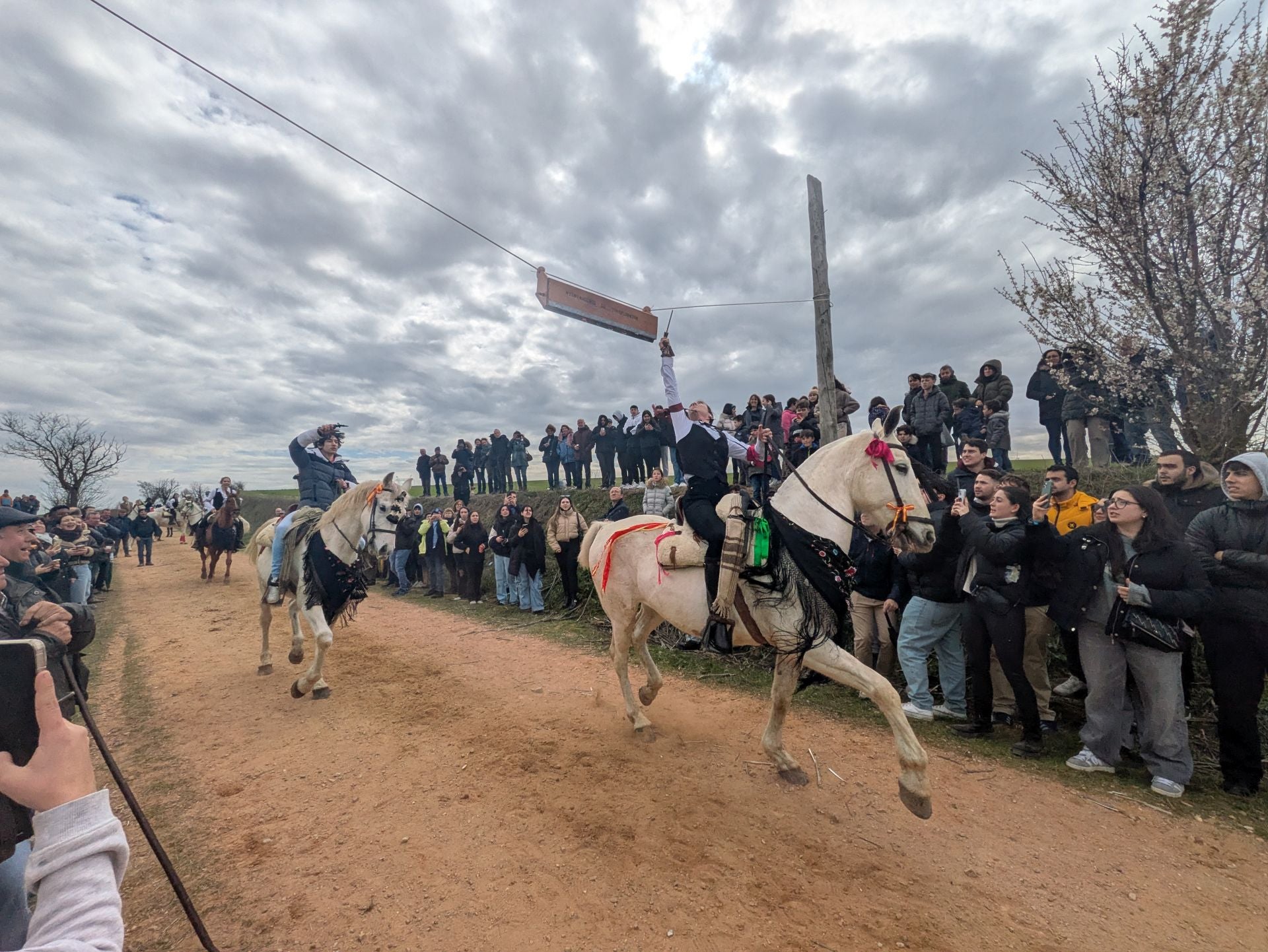 Carrera de cintas a caballo en Torrelobatón