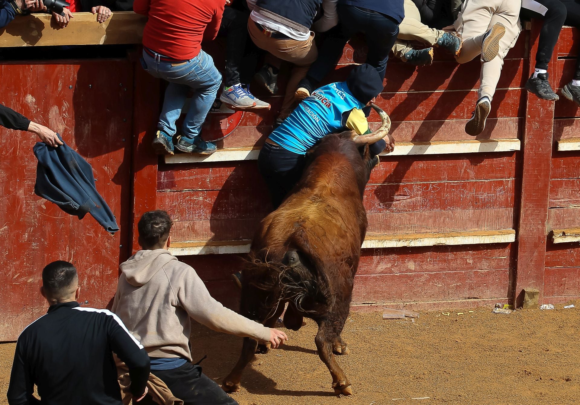 Así han sido las cogidas a los tres corneados en Ciudad Rodrigo