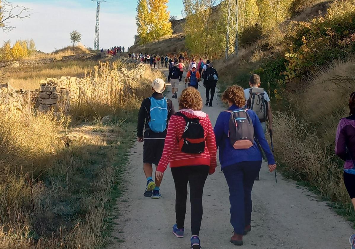La Asociación del Camino del San Frutos impulsará esta ruta como recurso turístico